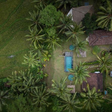 Green Sari Private Villa Ubud Exterior foto