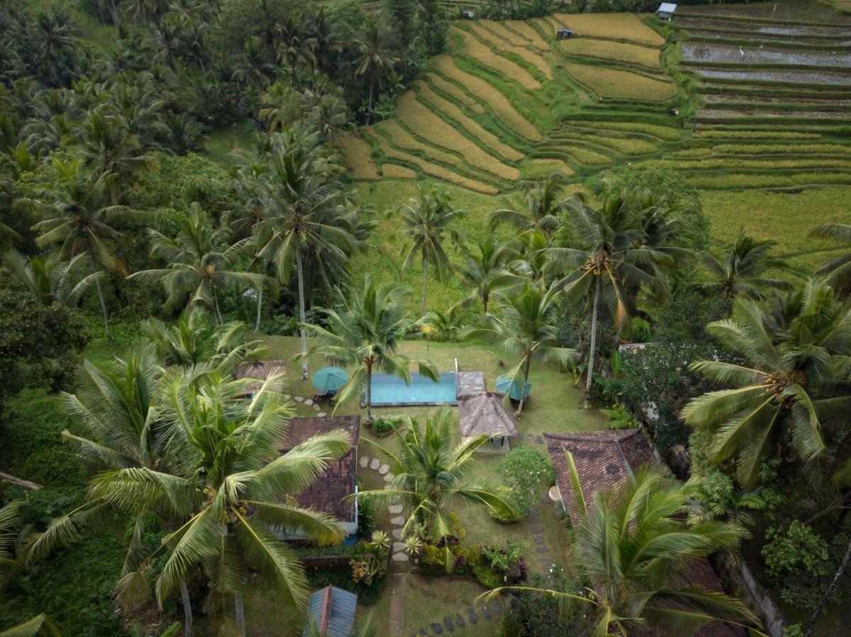 Green Sari Private Villa Ubud Exterior foto